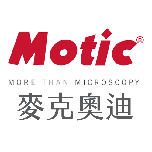 Motic